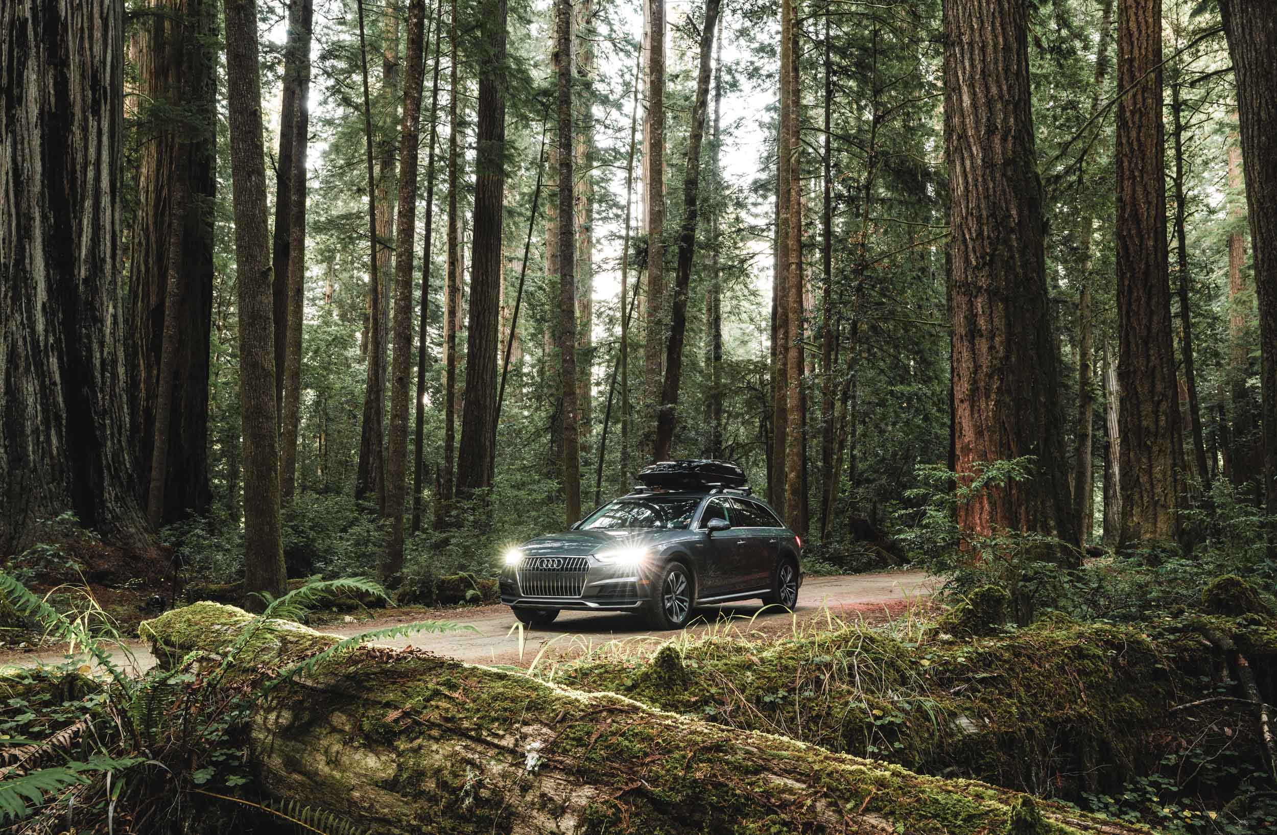 Silver Audi Allroad with headlights on sits on road in a dark and mossy redwood forest
