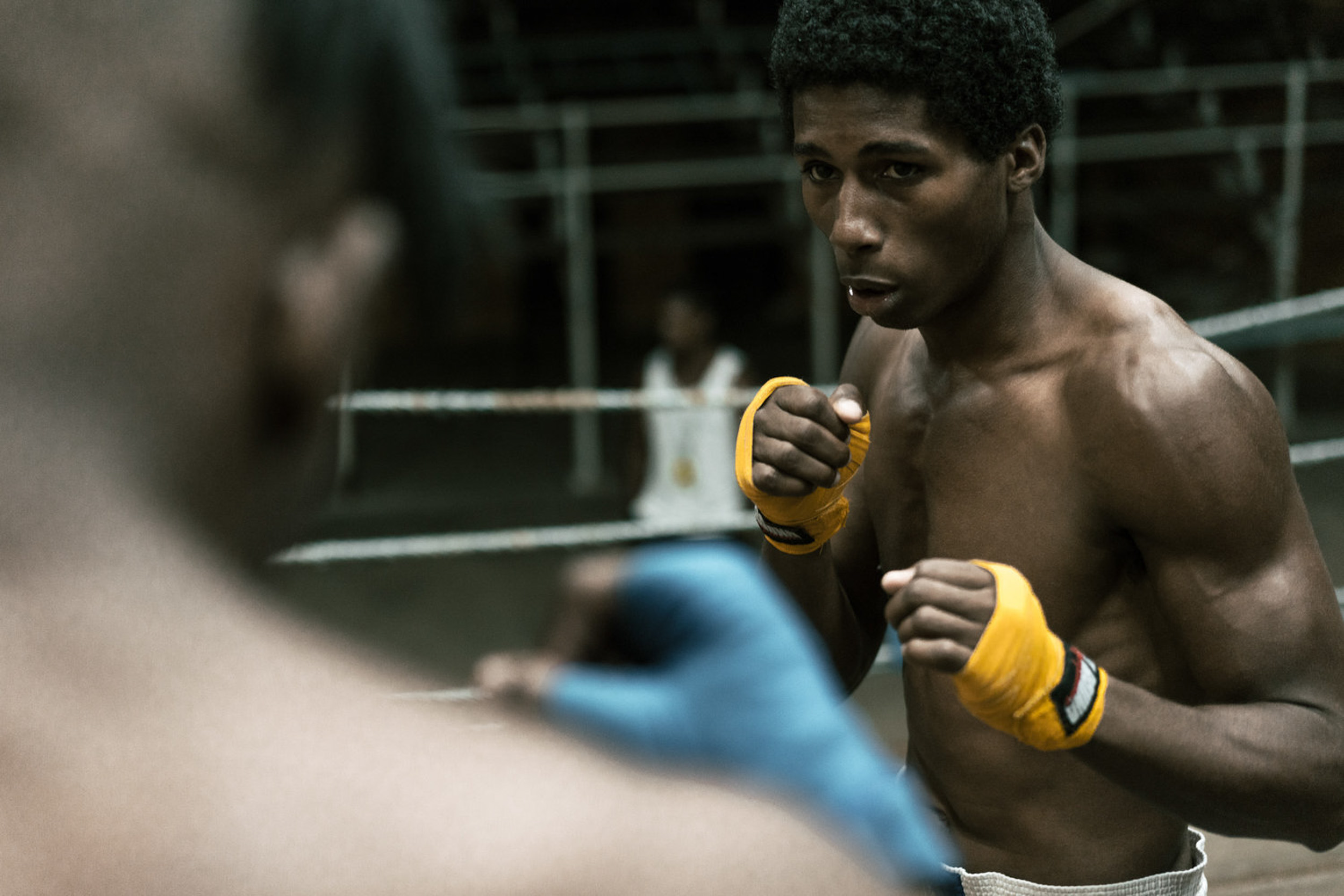 Fitness-Havana-Boxing-BAX9960