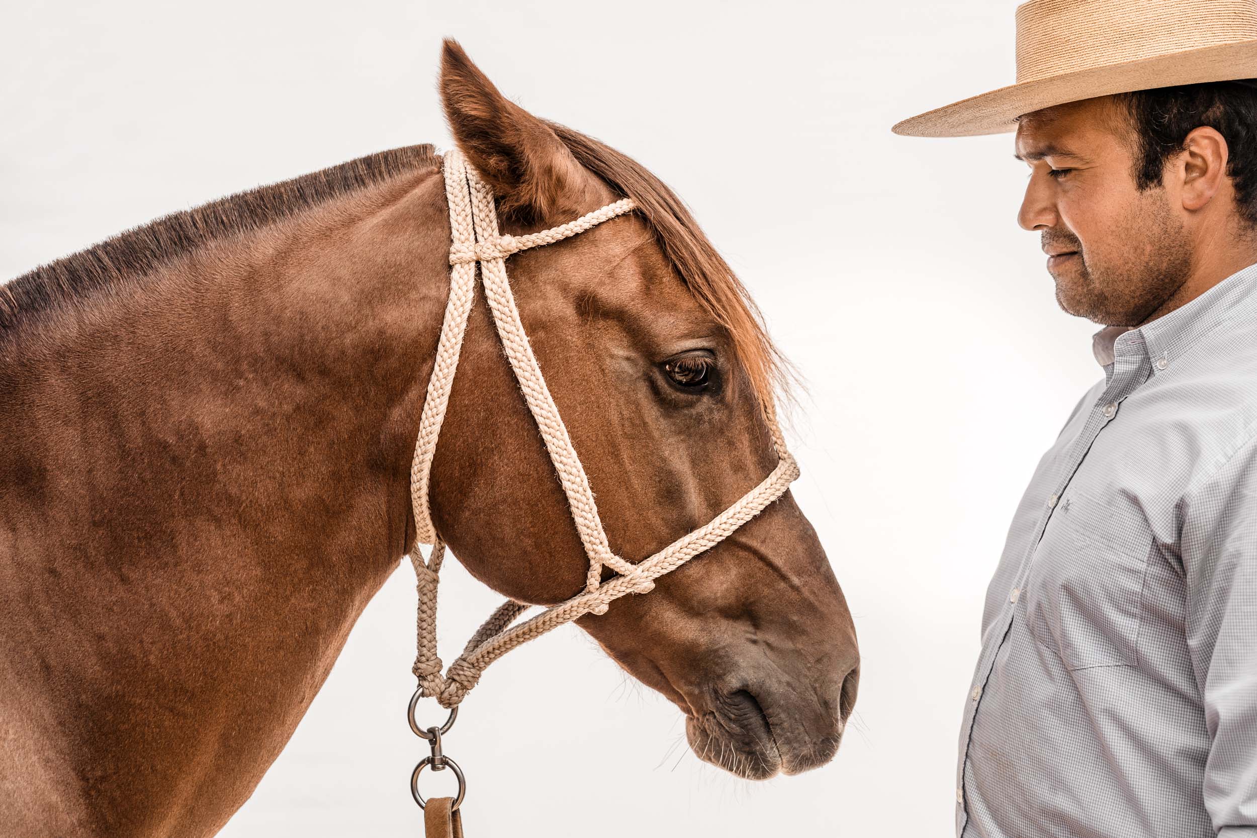 Travel-Chile-Rodeo-BA96550-Edit